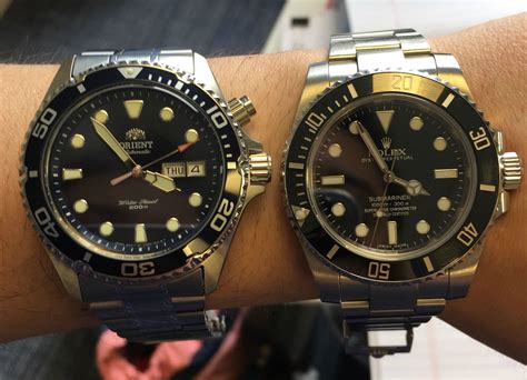 orient vs rolex